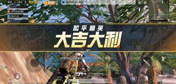 物理外挂怎么用和平精英（和平精英物理外挂怎么佩戴）